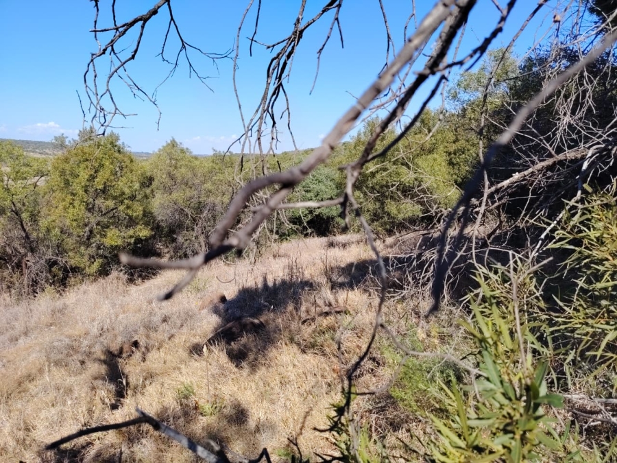 Commercial Property for Sale in Swartruggens North West